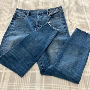EUC American Eagle The Dream Jean, 10 x-short